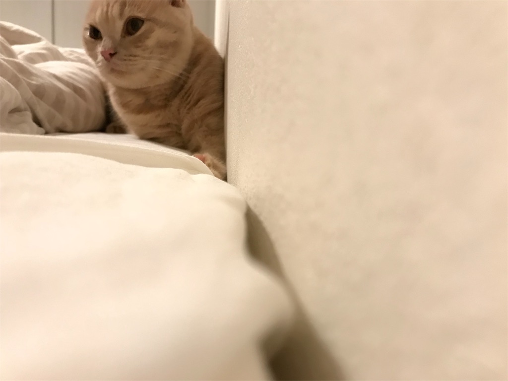 f:id:joe0131:20181013120319j:image
