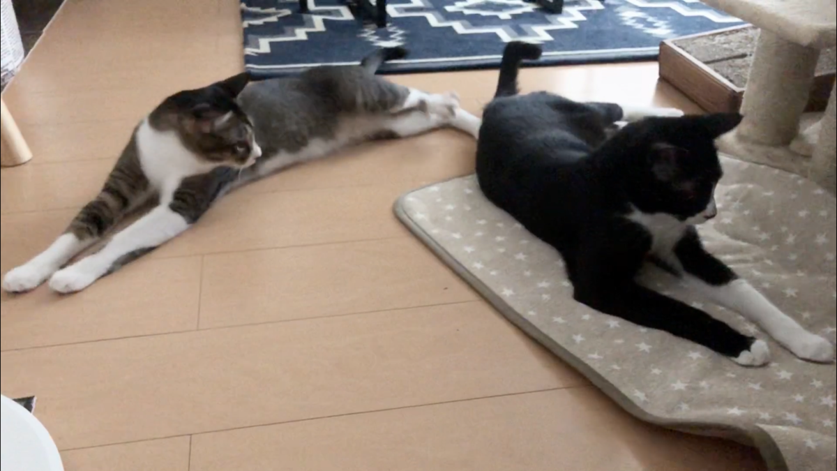 f:id:joe_mash:20200821130839p:plain