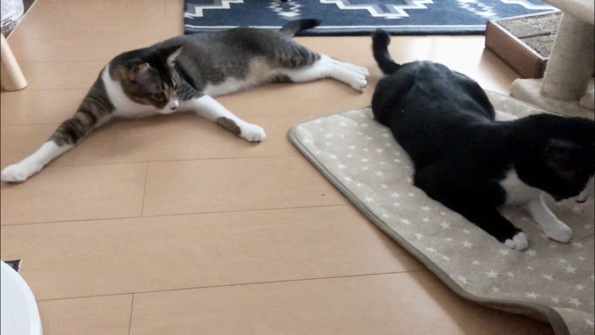 f:id:joe_mash:20200821130918p:plain