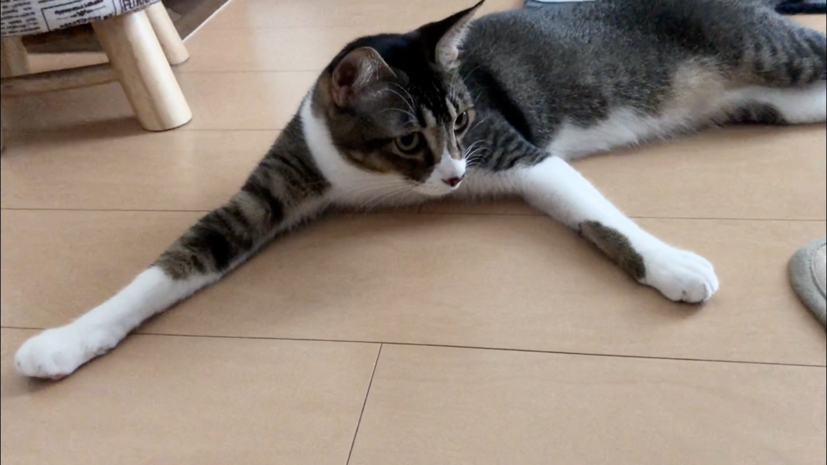 f:id:joe_mash:20200821130942p:plain