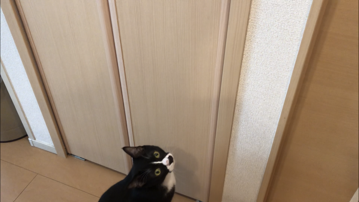 f:id:joe_mash:20200821135837p:plain