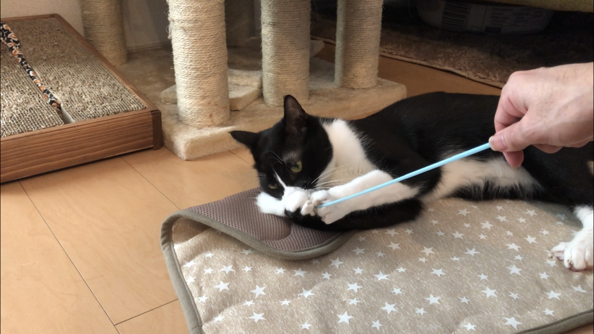 f:id:joe_mash:20200821135849p:plain