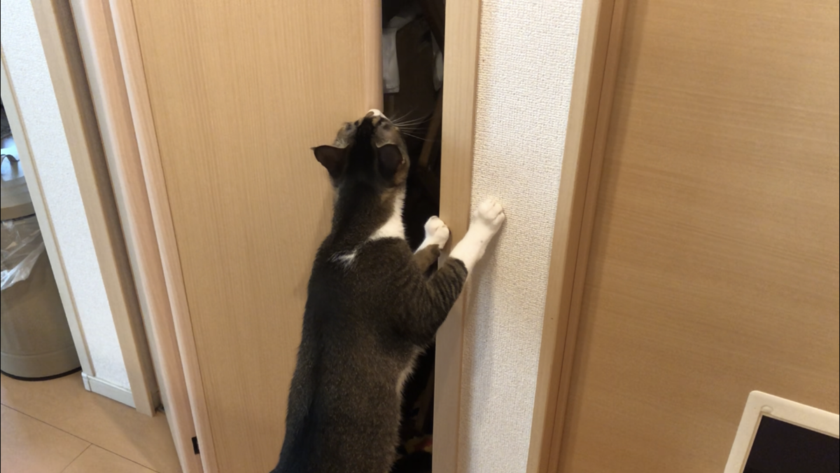 f:id:joe_mash:20200821135916p:plain