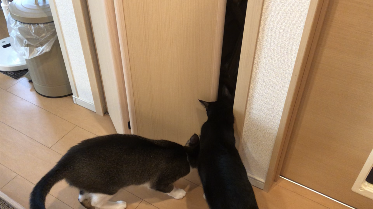 f:id:joe_mash:20200821135943p:plain