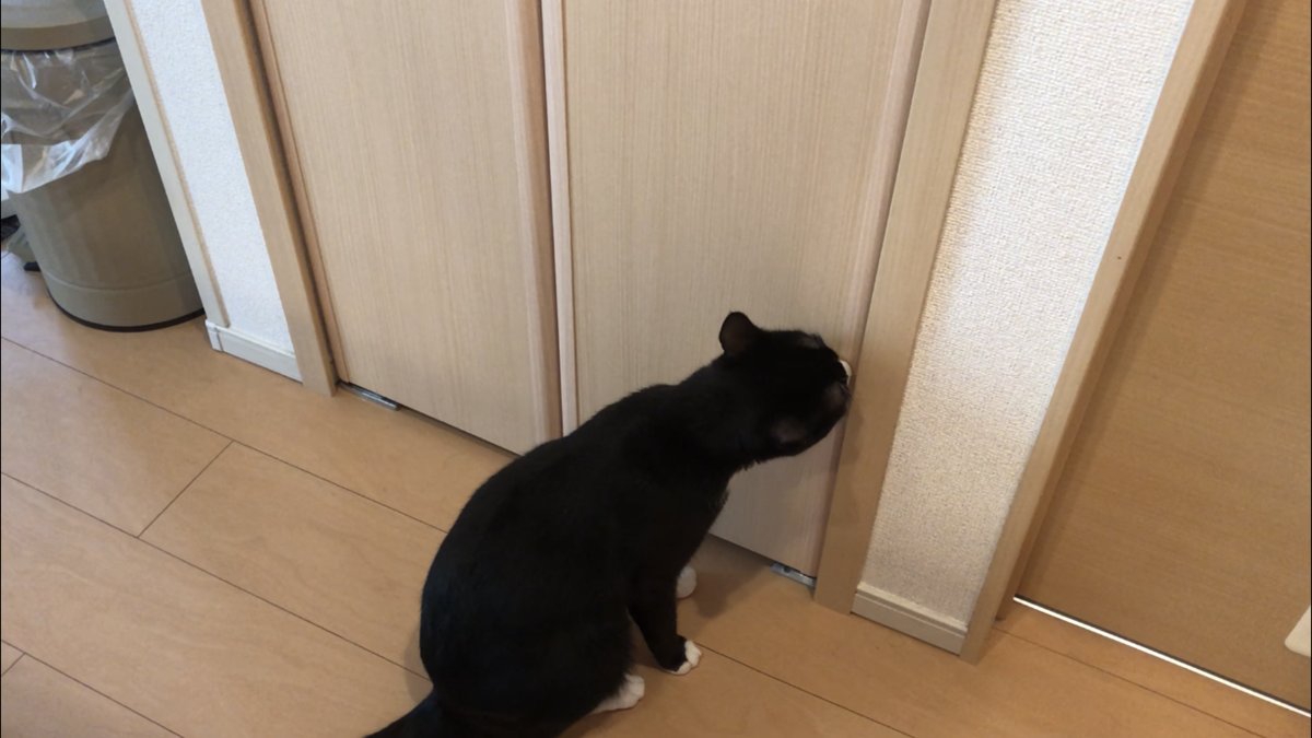 f:id:joe_mash:20200821140214p:plain