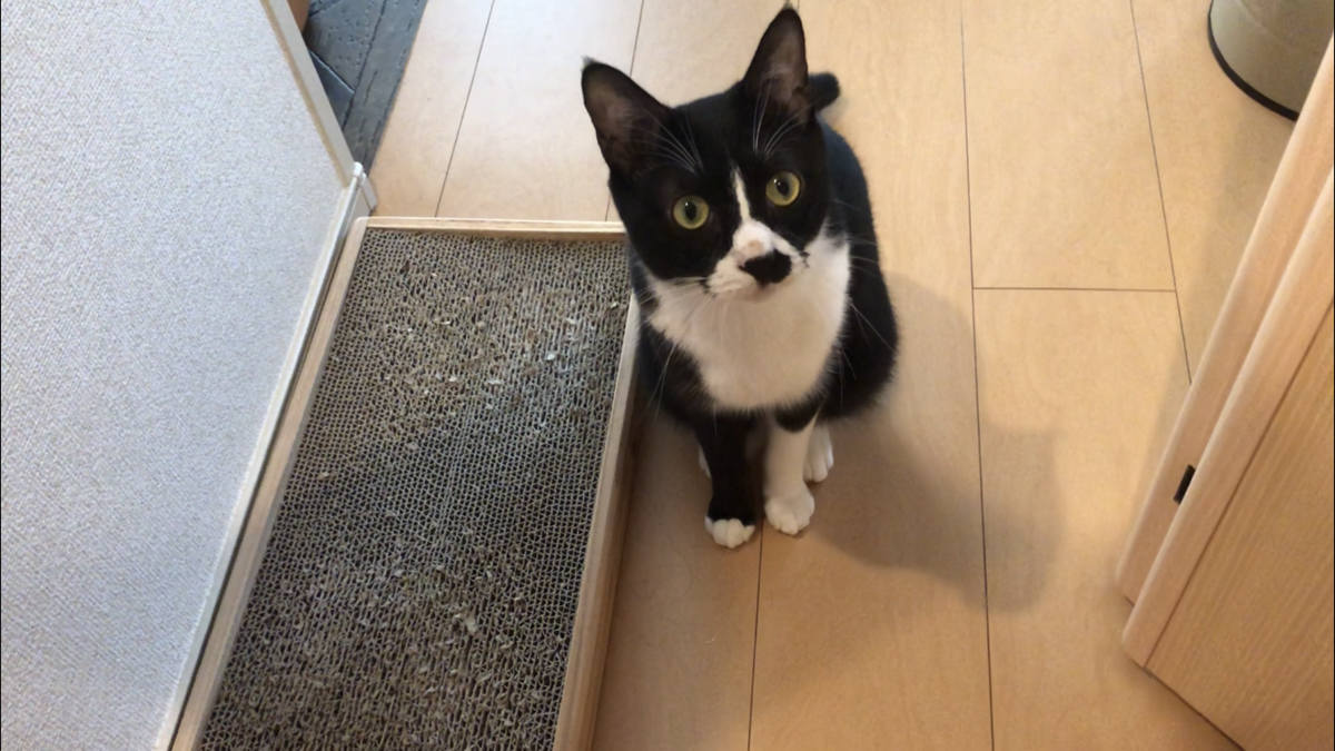 f:id:joe_mash:20200821140228p:plain