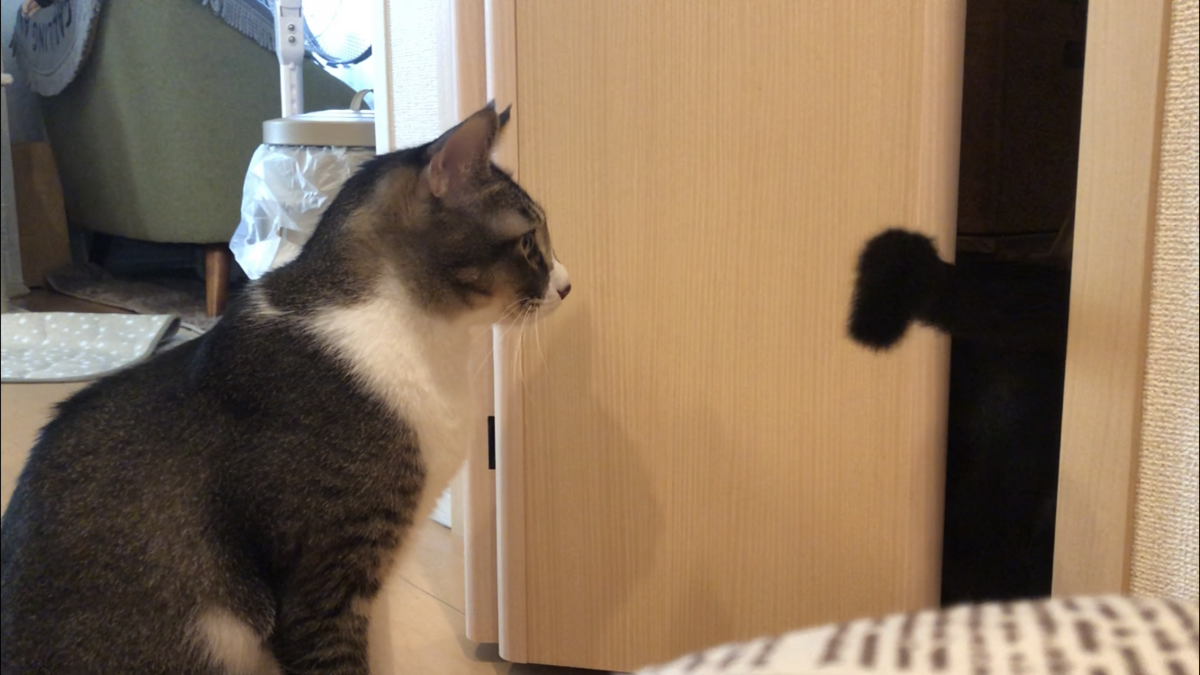 f:id:joe_mash:20200821140241p:plain