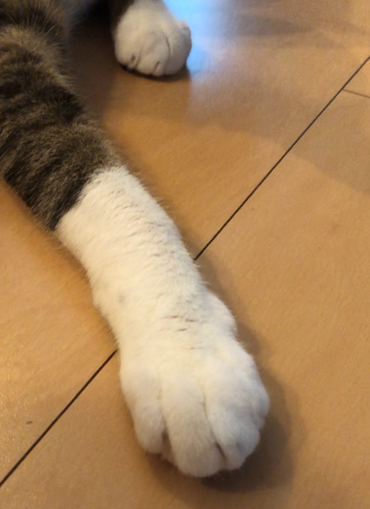 f:id:joe_mash:20200824181809p:plain