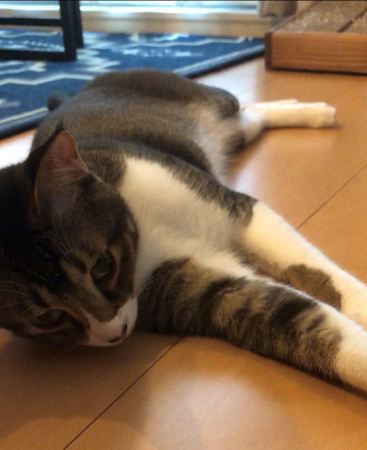 f:id:joe_mash:20200824181838p:plain