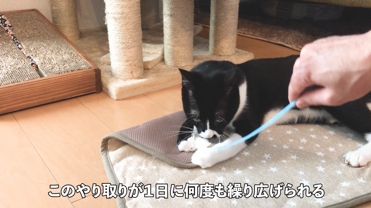 f:id:joe_mash:20200826164205p:plain