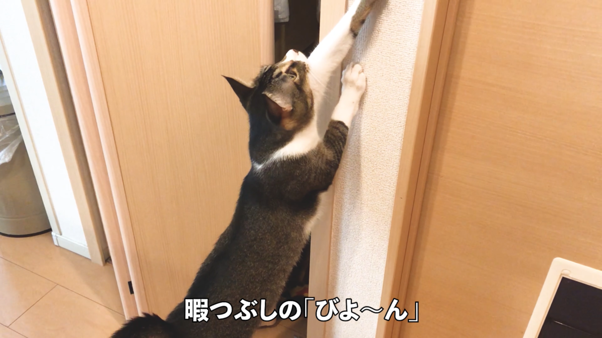 f:id:joe_mash:20200826164208p:plain