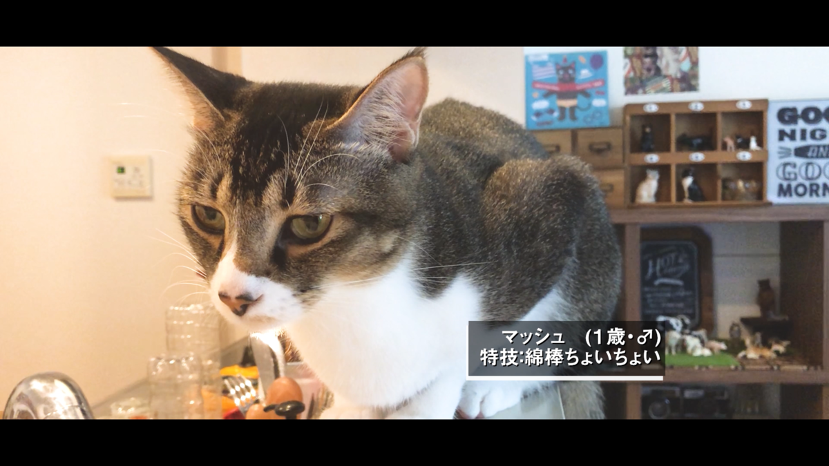 f:id:joe_mash:20200826164214p:plain