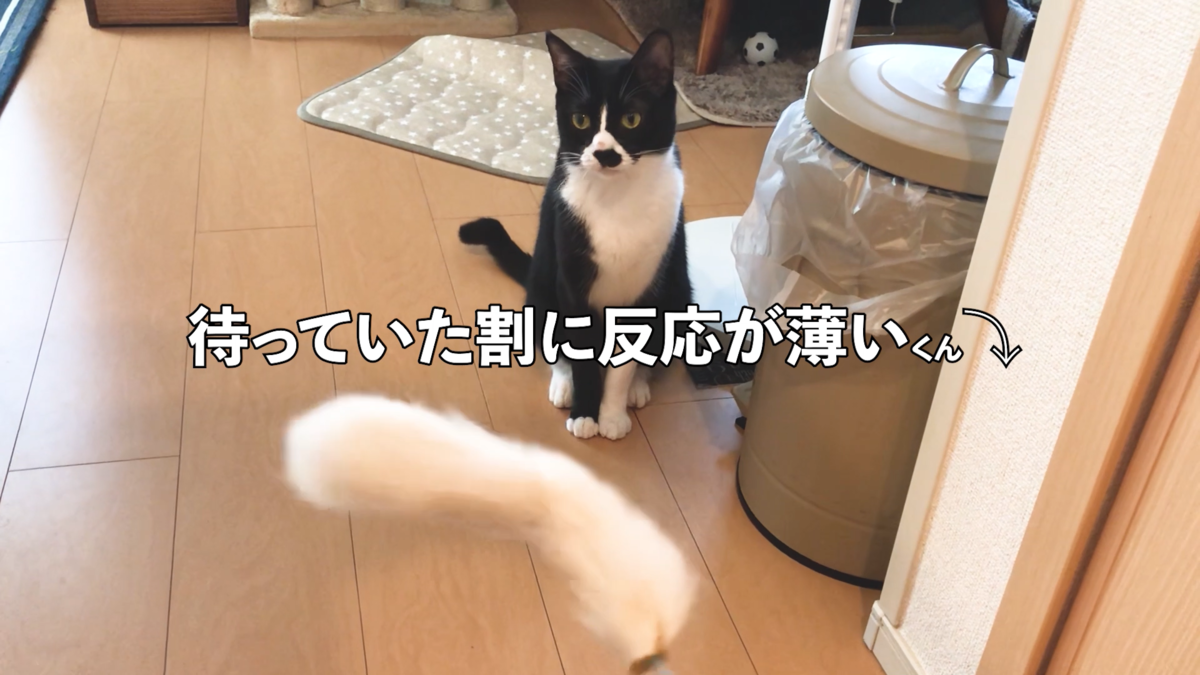 f:id:joe_mash:20200826164220p:plain