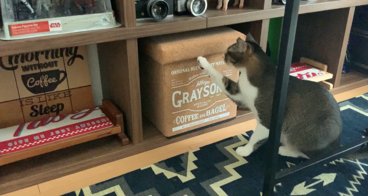 f:id:joe_mash:20200827184956p:plain