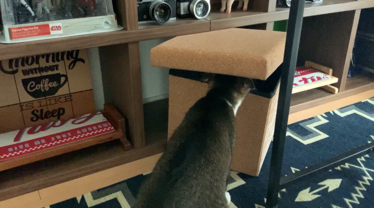 f:id:joe_mash:20200827185025p:plain