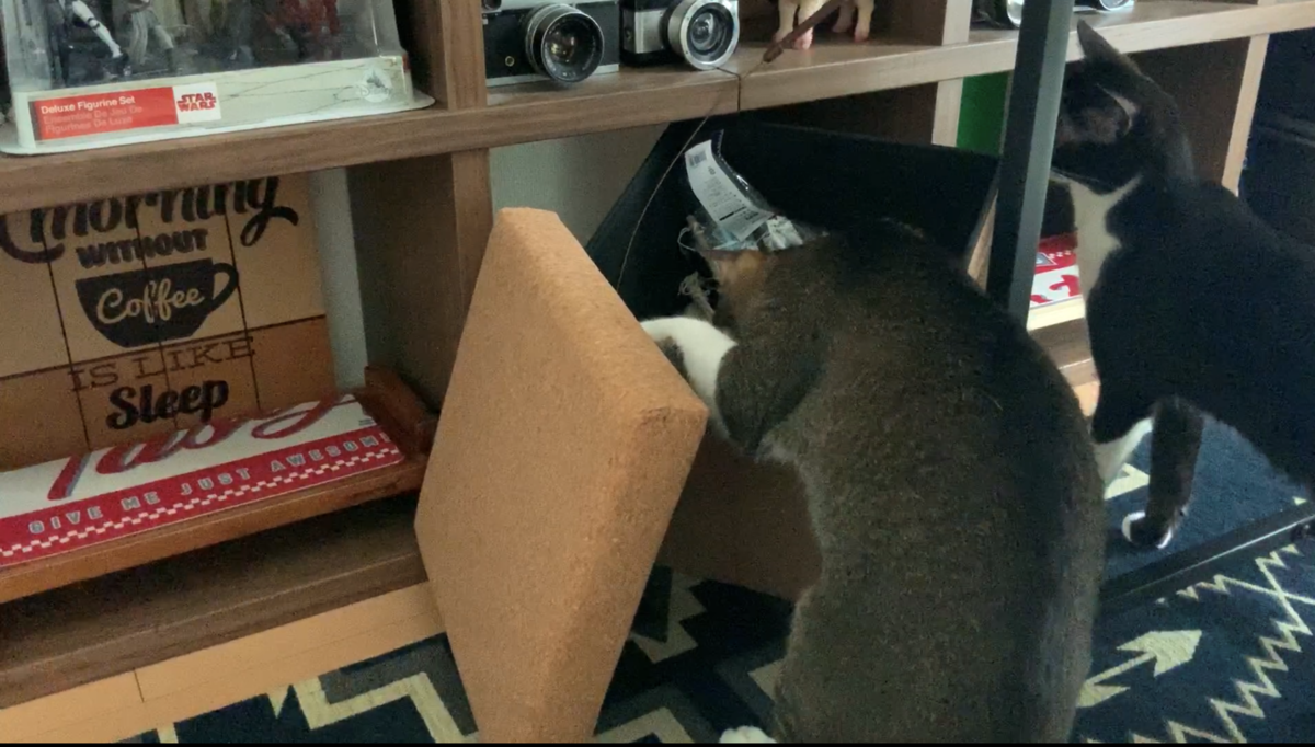 f:id:joe_mash:20200827185056p:plain