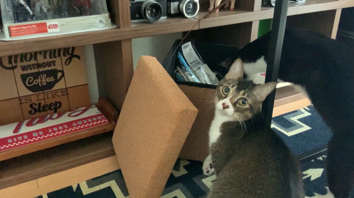 f:id:joe_mash:20200827185110p:plain