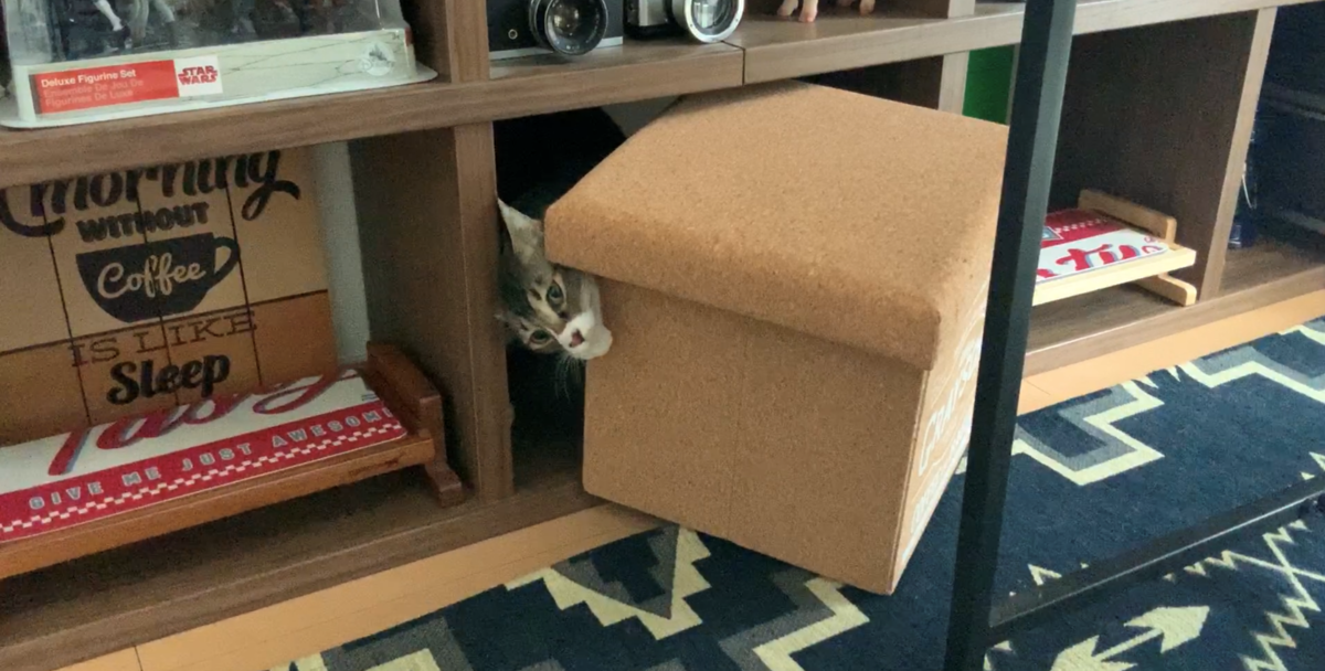 f:id:joe_mash:20200827185140p:plain