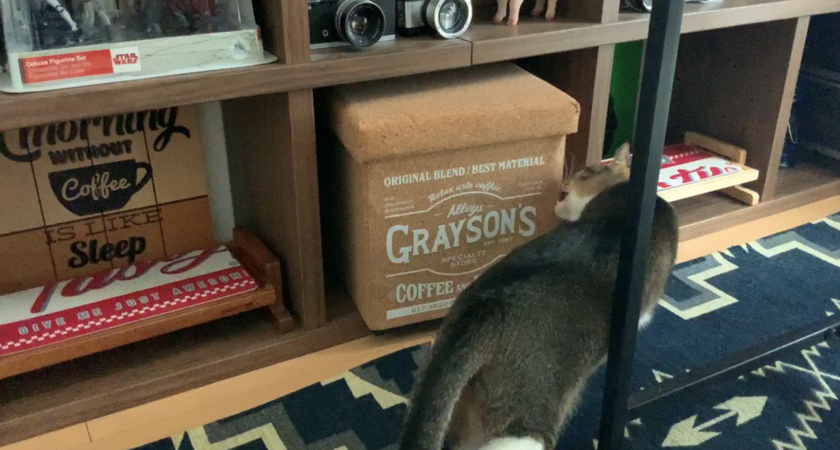 f:id:joe_mash:20200827185222p:plain