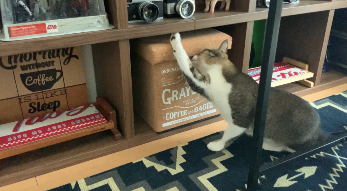 f:id:joe_mash:20200827185237p:plain