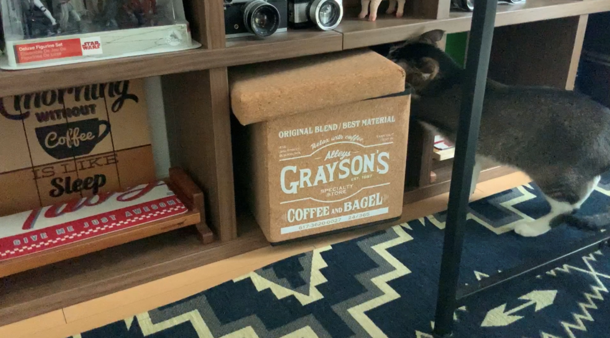 f:id:joe_mash:20200827185308p:plain