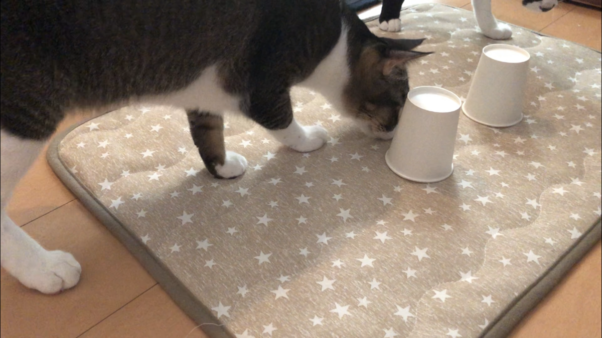 f:id:joe_mash:20200829164627p:plain