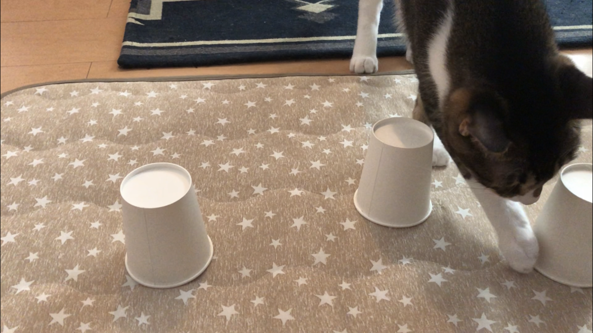 f:id:joe_mash:20200829164749p:plain