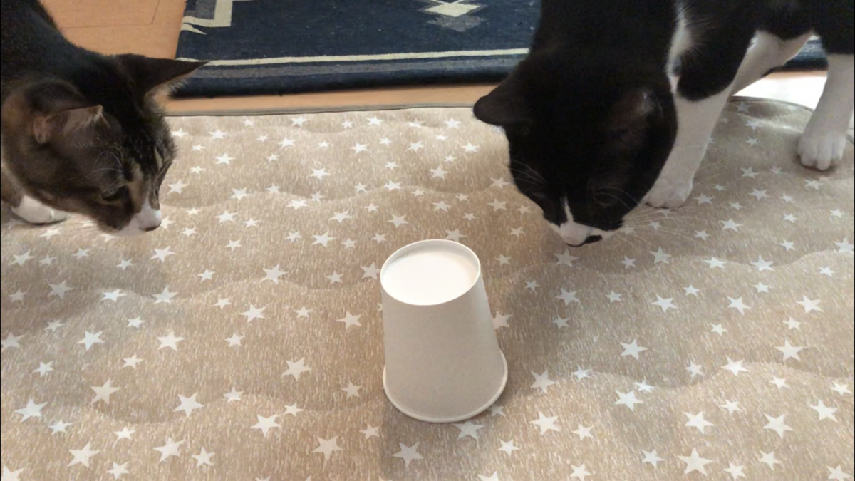 f:id:joe_mash:20200829164924p:plain