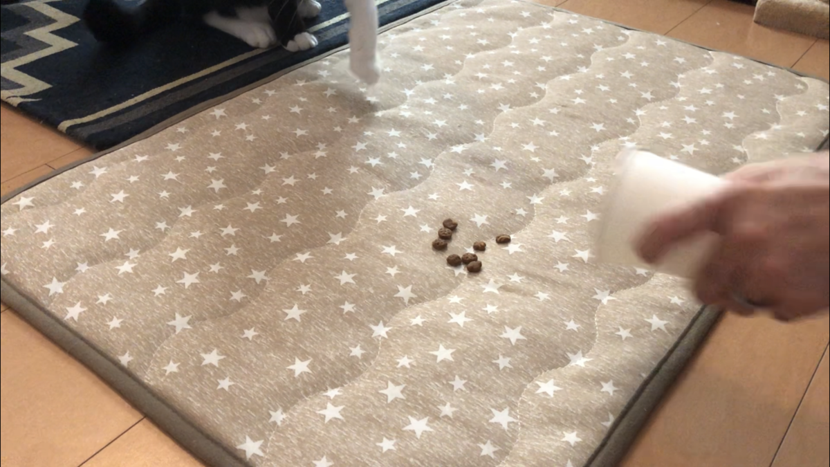 f:id:joe_mash:20200829171119p:plain