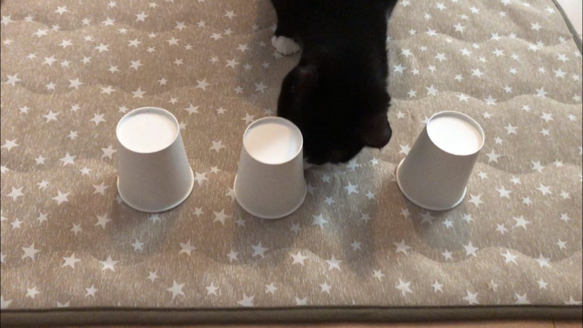 f:id:joe_mash:20200829171134p:plain