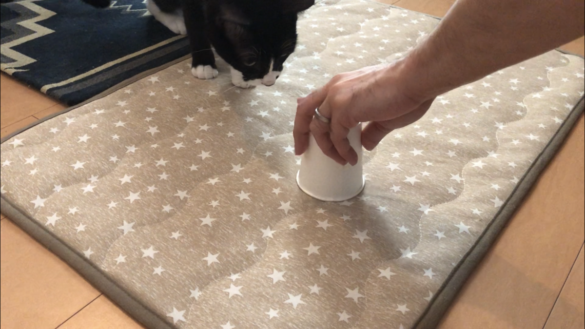 f:id:joe_mash:20200829171523p:plain