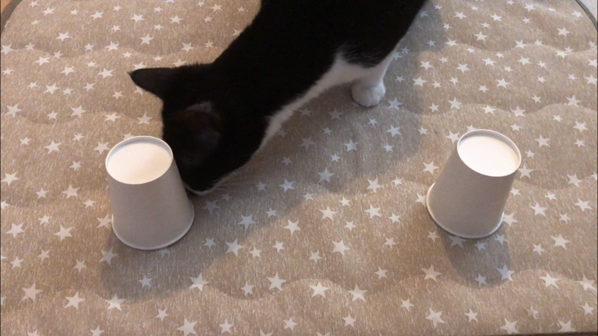 f:id:joe_mash:20200829172225p:plain