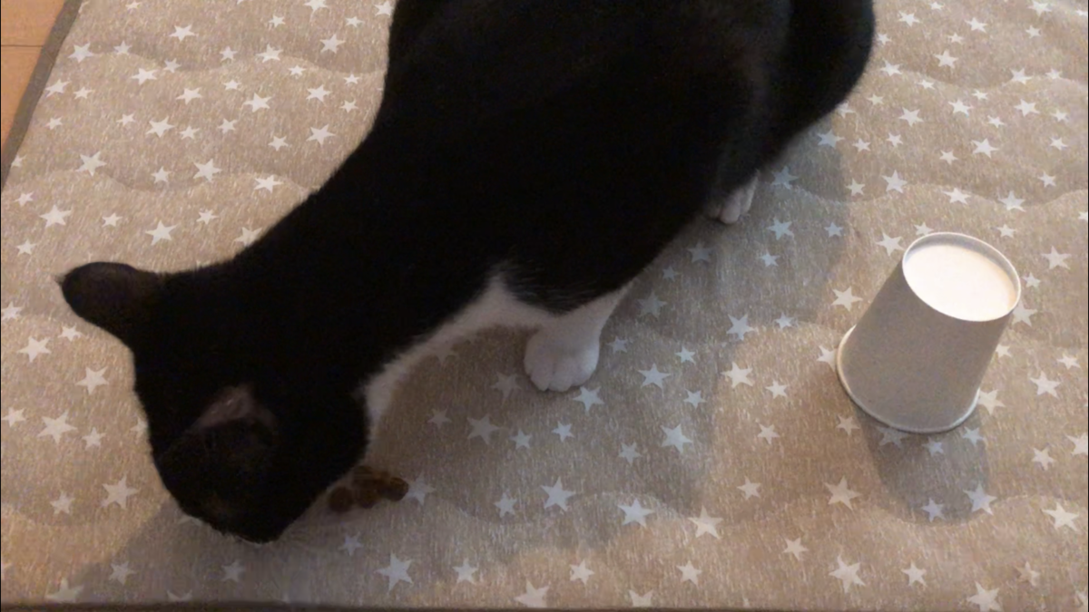 f:id:joe_mash:20200829172242p:plain