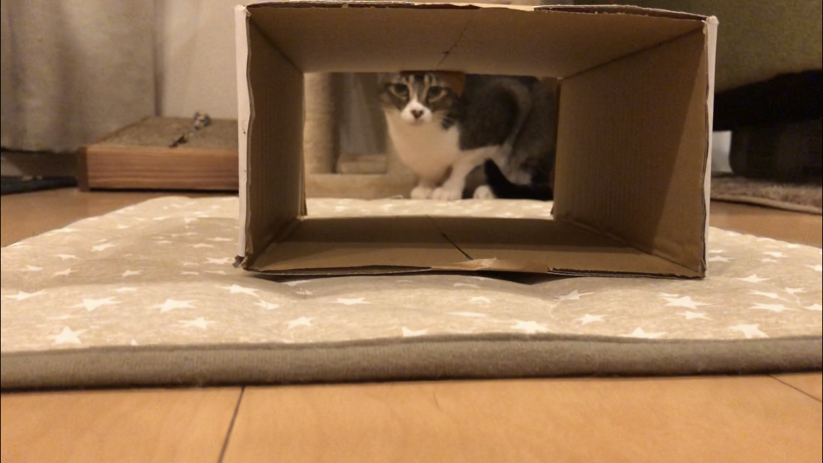 f:id:joe_mash:20200830171924p:plain