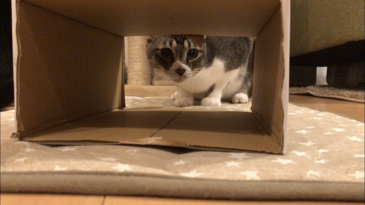 f:id:joe_mash:20200830172013p:plain