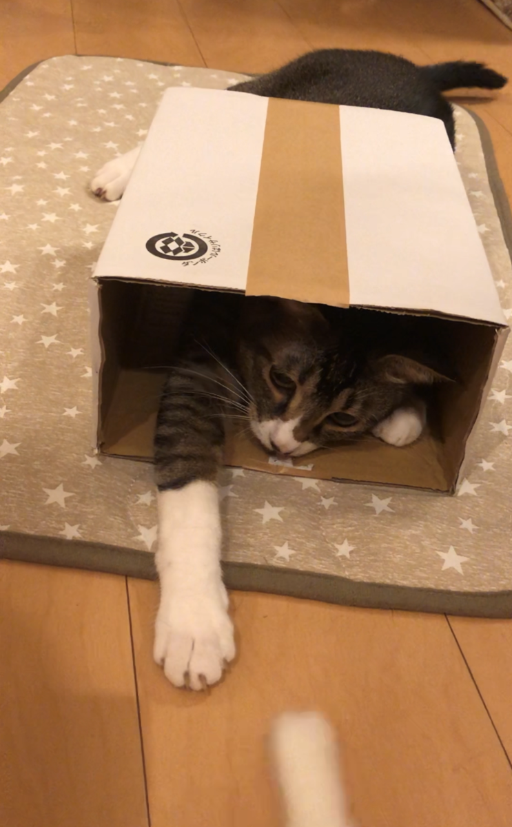 f:id:joe_mash:20200830172424p:plain