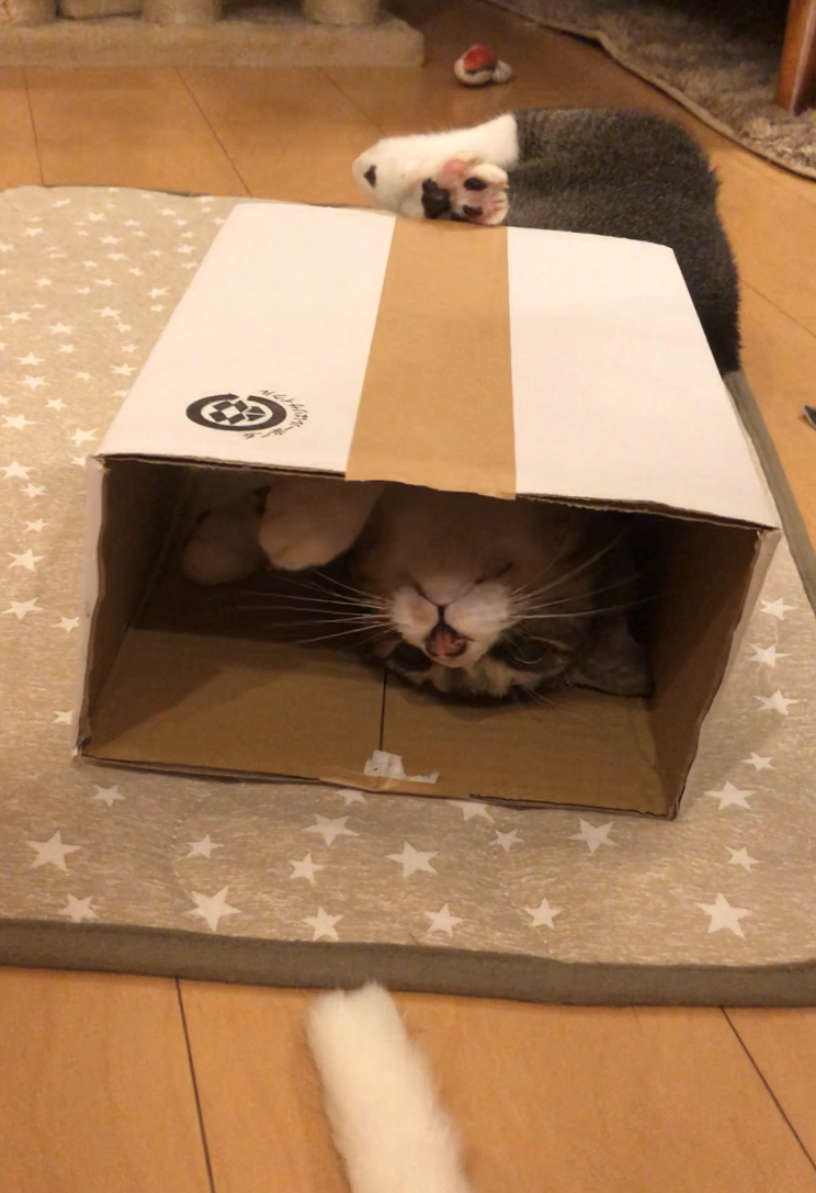 f:id:joe_mash:20200830172432p:plain