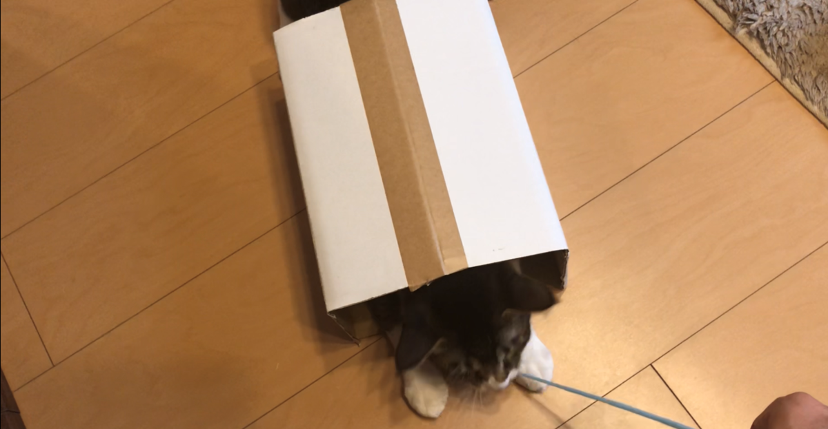 f:id:joe_mash:20200830172659p:plain