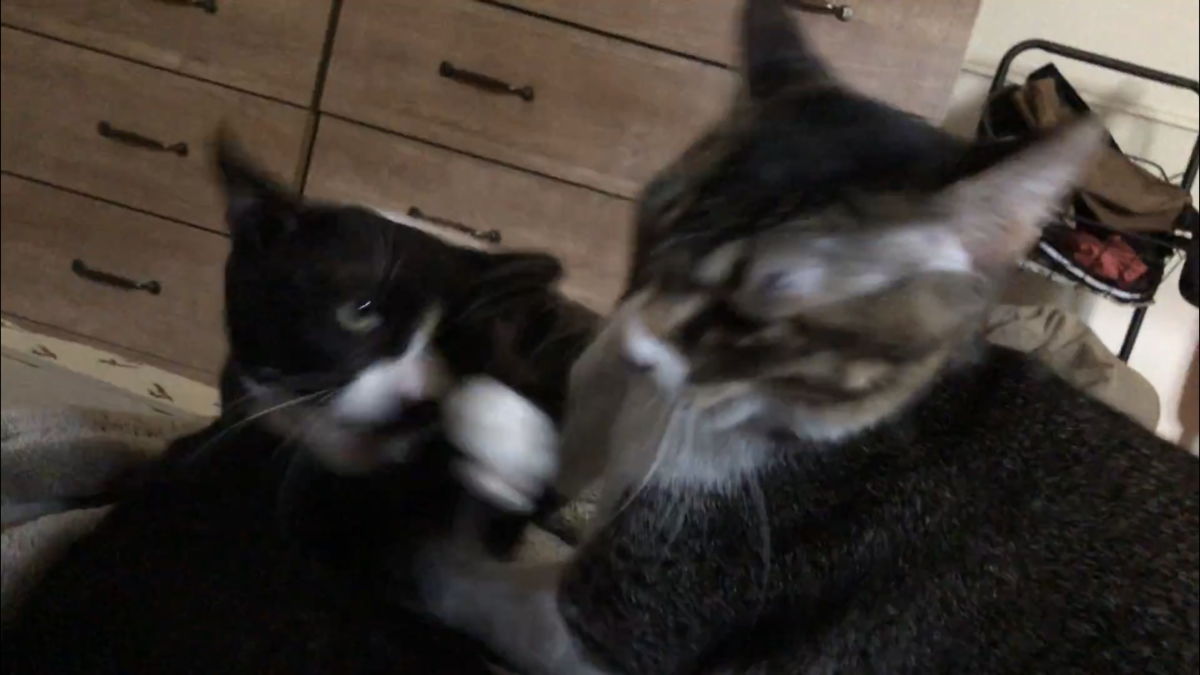 f:id:joe_mash:20200901162048p:plain