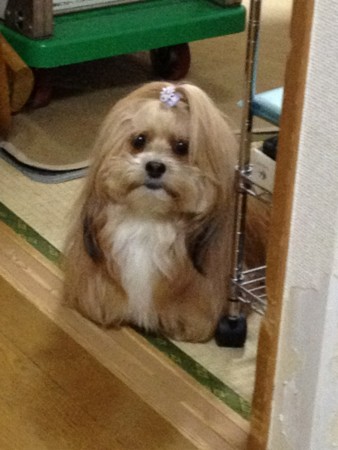 f:id:joec0315:20120128002518j:image f:id:joec0315:20120128002518j:image