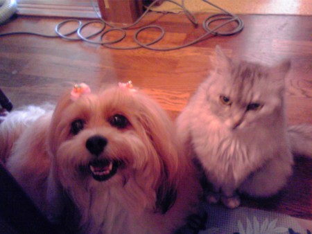 f:id:joec0315:20120821071512j:image