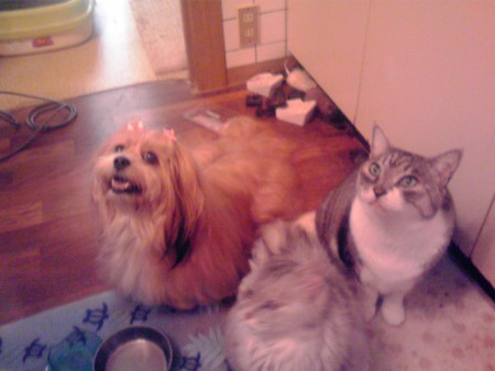 f:id:joec0315:20120821071820j:image