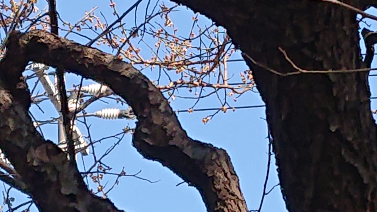 f:id:joege:20190321204356j:plain f:id:joege:20190321204356j:plain
