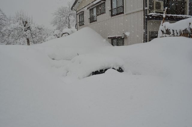 雪に埋まった車