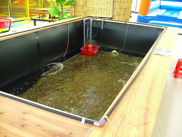 釣り堀