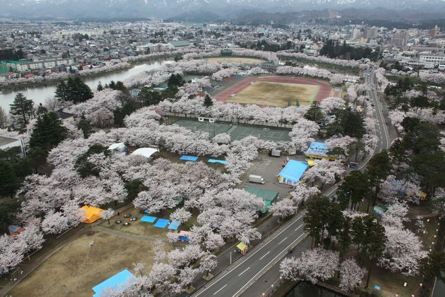 20100416kuusatu3