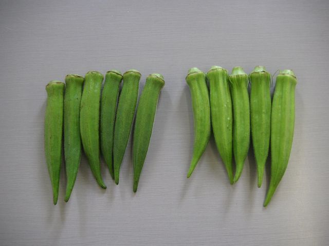 20100310okura