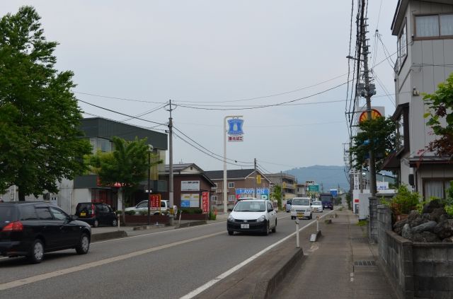 国道292を横断s
