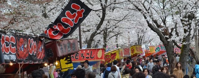 観桜会