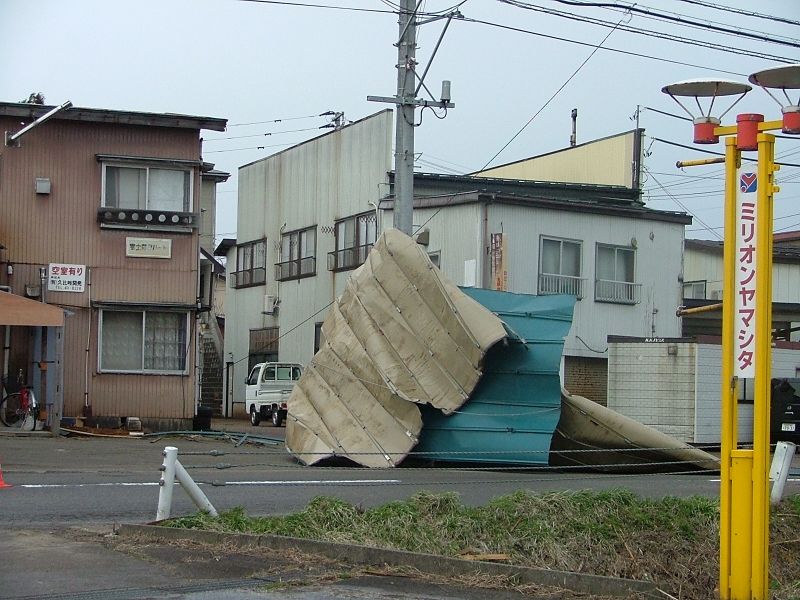 藤新田の屋根飛び
